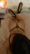 Private Photo of PoisonGirl94